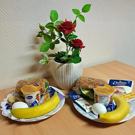 Hermanni Хостел *