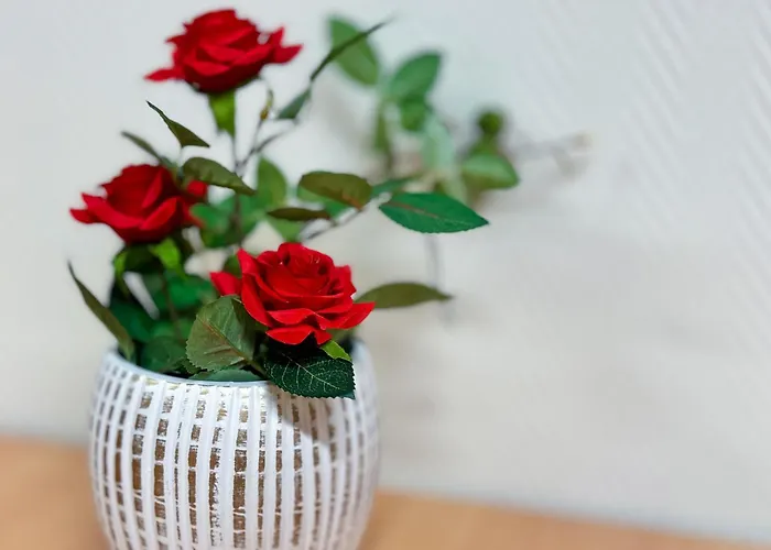 Хостел Hermanni