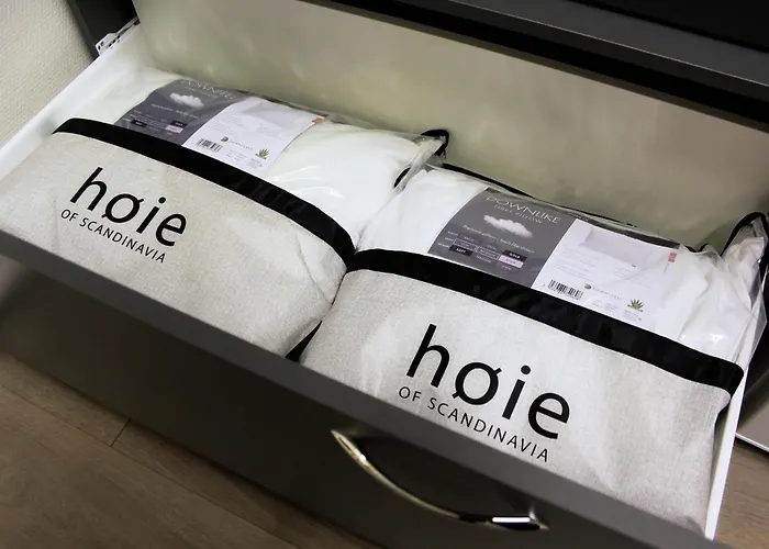 Хостел Hermanni *