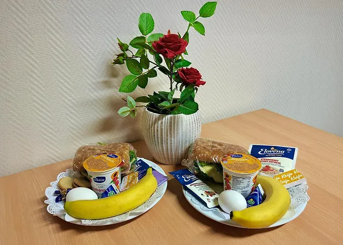 Hermanni Хостел *